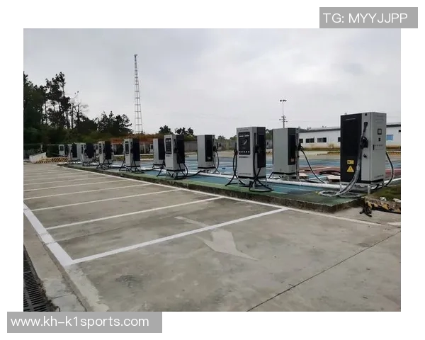 武汉羽毛球队整体压制革新引领羽坛新风潮的深度解析与展望